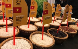Bộ Nông nghiệp lên tiếng vụ phát ngôn '90% người Việt Nam ăn gạo bẩn'