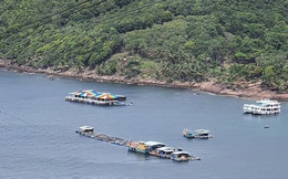 Khi Phú Quốc lên thành phố: Làng chài năm nao đã thành… Công chúa