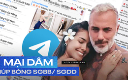 Telegram như một ổ tệ nạn: tràn lan hội nhóm tìm Sugar Baby, Sugar Daddy đến các động "chào giá, share số" trá hình!