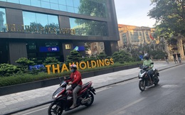 Thaiholdings báo lãi lớn gấp hơn 20 lần, cổ phiếu liên tục tăng trần