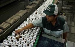 Lợi nhuận Sabeco hồi phục mạnh, ThaiBev dự kiến IPO mảng bia tại Singapore thu về 2 tỷ USD