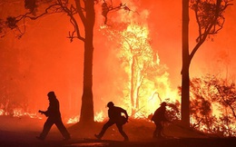 Australia có nguy cơ thiệt hại 100 tỷ AUD mỗi năm do biến đổi khí hậu