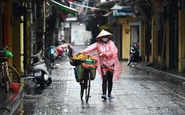 Hơn 22 triệu người Việt bị giảm thu nhập vì Covid-19