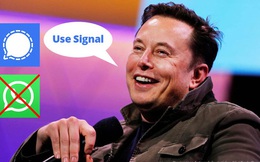 Chỉ bằng một dòng tweet, tỷ phú Elon Musk đã làm nghẽn hệ thống đăng ký của một ứng dụng nhắn tin