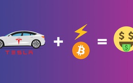 Tesla, Bitcoin và hợp đồng quyền chọn trở thành 'hầm trú ẩn' hái ra tiền của các day trader