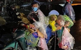 Hành trình về Cà Mau đầy đau lòng của 15 chú chó: Chính quyền địa phương xác nhận đã tiêu huỷ