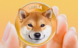 Sự nguy hiểm đằng sau cơn sốt tiền ảo Shiba Inu