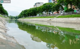 [ẢNH] Cận cảnh dòng nước xanh ngắt hiếm thấy tại sông Tô Lịch, cá bơi 'nhộn nhịp' hàng đàn