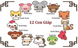 Tuần mới (18/10 - 24/10), có 4 con giáp tài lộc cực vượng, cơ may kiến tiền ào ạt, các khoản thu nhập chính phụ đều trên đà tăng tiến