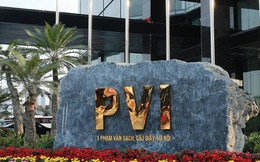 PVI vượt qua Bảo Việt, trở thành công ty có thị phần bảo hiểm phi nhân thọ lớn nhất