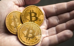Tranh luận nảy lửa 'Bitcoin là tài sản lưu giữ giá trị hay là 'vàng giả' chưa đến hồi kết