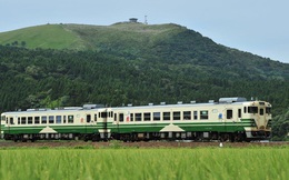 [ẢNH] Hiện trạng 37 toa tàu Nhật Bản dùng 40 năm mà Đường sắt Việt Nam muốn nhập về