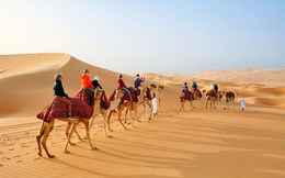 Tại sao các nước Ả Rập có vô số sa mạc nhưng vẫn nhập khẩu cát? Có phải vì… sính ngoại không?