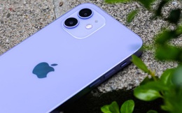 Một người Mỹ kiện Apple vì bị từ chối bảo hành chiếc iPhone nghi “hàng dựng” mua từ Việt Nam