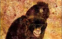 Phóng to 5 lần bức tranh 1,2 tỷ đồng vẽ mẹ con nhà khỉ: Hóa ra đắt "cắt cổ" vì điểm này!