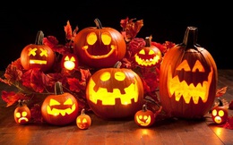 Vì sao quả bí ngô trở thành biểu tượng của lễ hội Halloween?