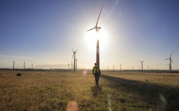 Lần đầu tiên HSBC cấp tín dụng cho một doanh nghiệp điện gió Việt Nam - đất nước đầu tư năng lượng tái tạo cao nhất ASEAN