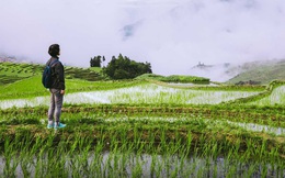 Mẹ bảo con gái: "Lương 30 triệu ở Hà Nội không bằng 15 triệu ở quê, về quê làm rồi lấy chồng gần gia đình!"