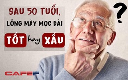 Sau 50 tuổi, lông mày nam giới mọc dài chưa hẳn là dấu hiệu trường thọ mà có thể do 4 nguyên nhân này: Số 2 cảnh báo sự lão hóa, đừng chủ quan !