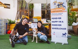 Sài Gòn: Những chú chó mèo khuyết tật "hồi sinh" bên cặp vợ Việt chồng Tây chuyên sản xuất xe lăn cho thú cưng