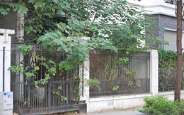 Cận cảnh khu "biệt thự hoang" cỏ mọc um tùm của nữ đại gia Hà Nội vừa bị khởi tố