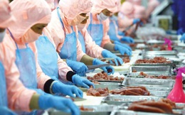 “Lệnh 248” và “Lệnh 249” tác động đến doanh nghiệp Việt Nam như thế nào?