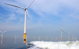 Cần đầu tư 10-12 tỷ USD cho 4-5 GW điện gió ngoài khơi đầu tiên tại Việt Nam