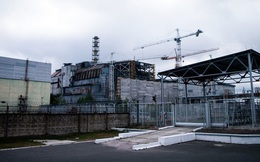 Các nhà khoa học bất ngờ phát hiện một loại nấm lạ trên tường của lò phản ứng hạt nhân Chernobyl