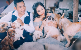Cặp đôi quyết định không sinh con, cưu mang 300 con chó mèo bị bỏ rơi