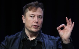 Elon Musk khẳng định chắc nịch: 'Học đại học chỉ để cho vui thôi'