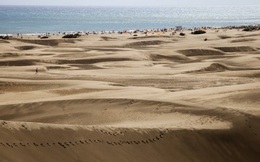 Nạn "quan hệ" trên cát đang giết dần giết mòn hòn đảo đẹp bậc nhất châu Âu với những hình ảnh "chướng mắt"