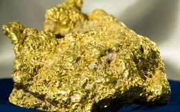 Tình cờ tìm thấy mỏ vàng tỷ đô, trữ lượng gần trăm tấn, truyền thông "phát cuồng"