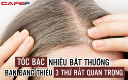 Tóc bạc nhiều đến bất thường, đừng nghĩ mình đang già đi, rất có thể bạn thiếu hụt 3 loại dinh dưỡng quan trọng