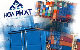 Cuộc cạnh tranh cung cấp ván lót sàn container đầu tiên tại Việt Nam cho Hoà Phát: Một doanh nghiệp bị loại không được nhận tài trợ kinh phí làm sản phẩm mẫu