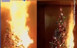 Thông Noel bùng cháy dữ dội vì một thói quen nhiều gia đình đang mắc phải