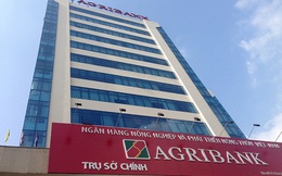 Agribank tiếp tục đại hạ giá khoản nợ gần 350 tỷ của Nông Trường Sông Hậu, chỉ còn 98,5 tỷ