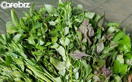 Loại rau rẻ bèo, bán đầy rẫy ngoài chợ, dùng thường xuyên thấy sự thay đổi rõ rệt về tim mạch, đường máu, nhất là trẻ ra cả chục tuổi!