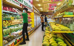 Thế Giới Di Động tuyên bố ngừng mở mới Bách Hóa Xanh
