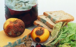 4 thực phẩm nhà nào cũng có đang ngầm gây hại cho tế bào gan, đặc biệt là món đầu tiên