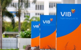 Ông nội muốn sang tay số cổ phiếu VIB trị giá gần 800 tỷ cho cháu trai?