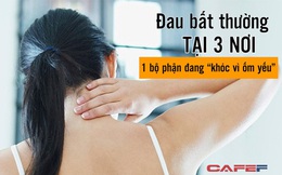 Đau bất thường ở 3 NƠI trên cơ thể, đi khám ngay trước khi 1 bộ phận quan trọng “khóc kêu ốm yếu”, người lúc nào cũng ho hen