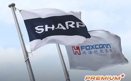 Sharp: “Gã nhà giàu” bán mình tìm đường sống