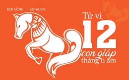 Tử vi 12 con giáp tháng 11 âm: Nhiều con giáp có vận số lên hương, tiền tiêu không hết