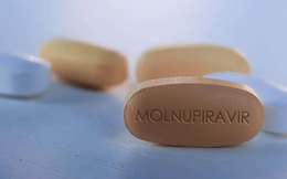 Hà Nội chỉ đạo giám sát sử dụng thuốc Molnupira để tránh thất thoát, bị trục lợi