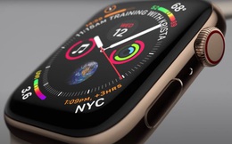 Doanh số Apple Watch trên toàn cầu vượt ngưỡng 100 triệu chiếc nhưng chỉ có 10% iPhone thực sự dùng nó