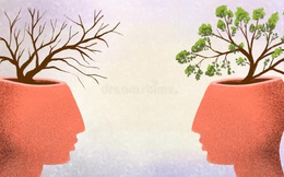 Làm việc sáng suốt, làm người hồ đồ, ấy mới thực sự là thông minh