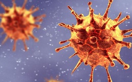 Phát hiện biến chủng mới của virus SARS-CoV-2 có thể làm “vô hiệu hóa” xét nghiệm PCR