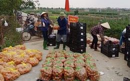 Tránh lợi dụng "giải cứu" ép giá nông dân, Hải Dương công bố giá bán nông sản