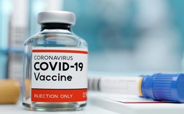 Hải Dương đề xuất Ấn Độ viện trợ vaccine phòng Covid-19