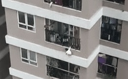 Thót tim clip bé gái 3 tuổi ở Hà Nội trèo ra ban công tầng 12 rồi rơi xuống